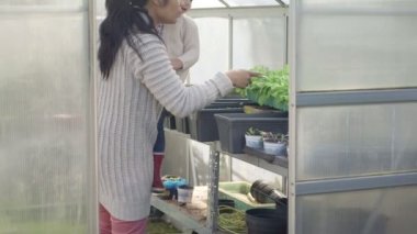 Kadın gösteren bitkiler