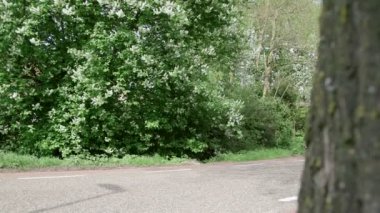 Çift üzerinde bisiklet sürme