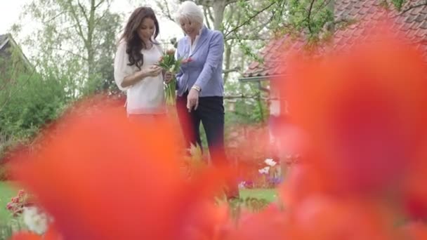 Mulheres no jardim de flores — Vídeo de Stock