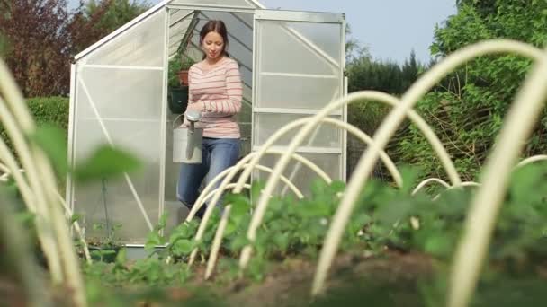 Jonge vrouw drenkt planten — Stockvideo