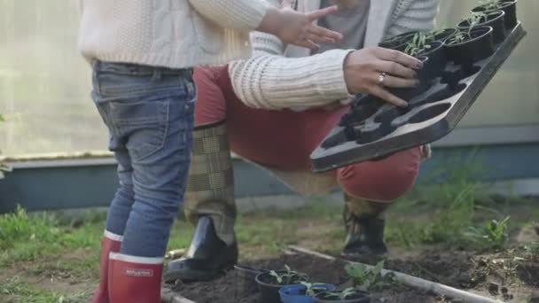 Vrouw onderwijs planten — Stockvideo