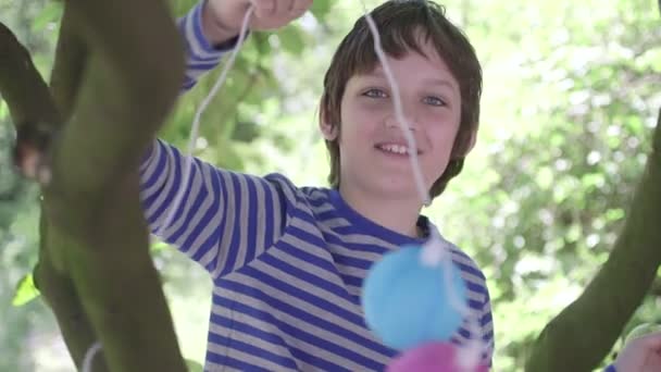 Хлопчик прикраси дерев — стокове відео