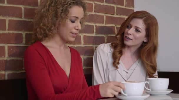 Femmes assises dans un café — Video