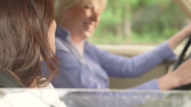 Dos mujeres sentadas en coche — Vídeos de Stock