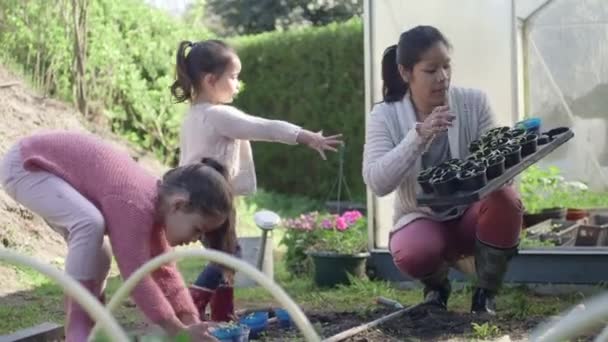 Mãe e filhas plantando perto de estufa — Vídeo de Stock