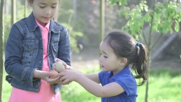 Dos chicas mostrando huevos — Vídeo de stock