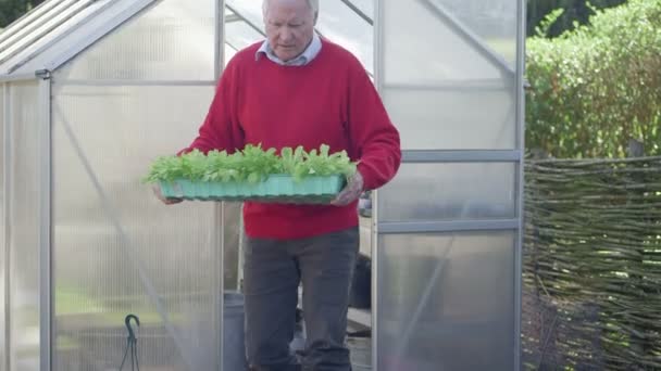 Homme portant des plantes — Video