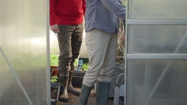 Men with pot plants — Stock Video