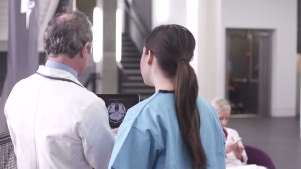 Arts en verpleegkundige met behulp van Tablet PC — Stockvideo