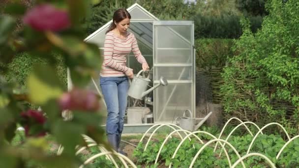 Woman watering plants — Stock Video