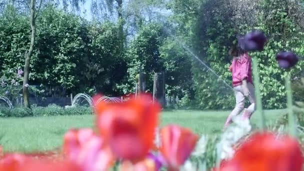 Girl playing in garden — Stock Video