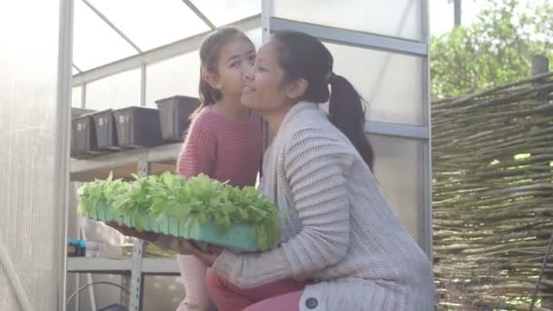 Mother and daughter near greenhouse — Stock Video