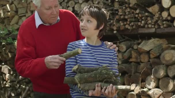 Grandfather and grandson with logs — Stock Video