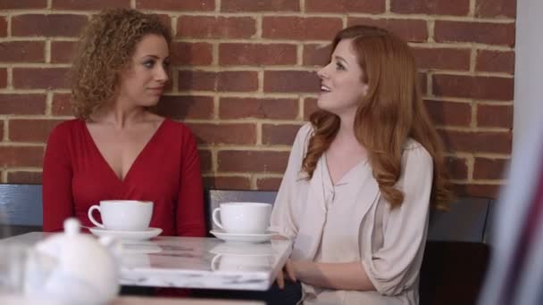 Женщин, сидящих в кафе — стоковое видео
