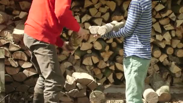 Grandfather and grandson with logs — Stock Video