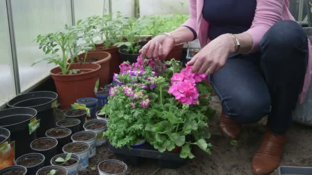 Mulher cheirando flores — Vídeo de Stock