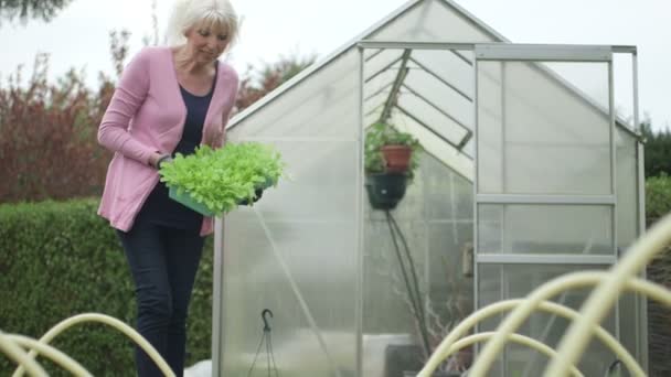 Äldre kvinna trädgårdsskötsel — Stockvideo