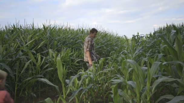 Père et fils jouant — Video