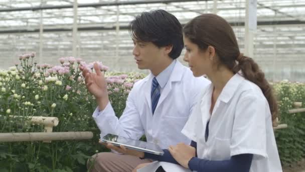 Cientistas usando tablet digital — Vídeo de Stock