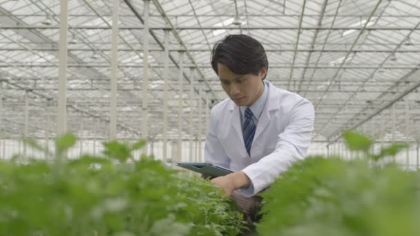 Cientista examinando plantas — Vídeo de Stock