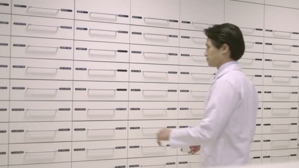 Pharmacien travaillant en pharmacie — Video