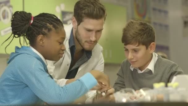 School children and teacher — Stock Video