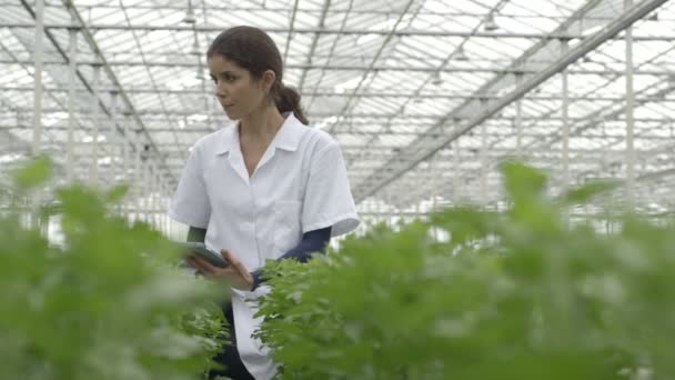 Cientista examinando plantas — Vídeo de Stock