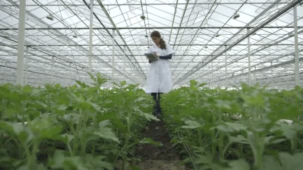 Вчений, вивчаючи рослин — стокове відео