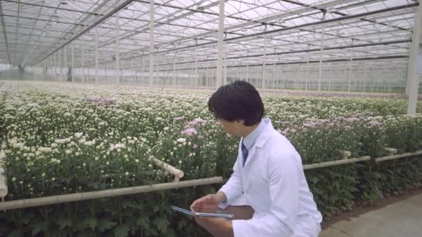 Scientist examining plants — Stock Video