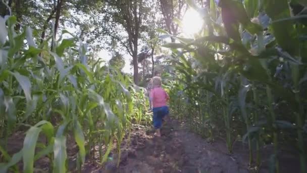 Vater und Sohn spielen — Stockvideo