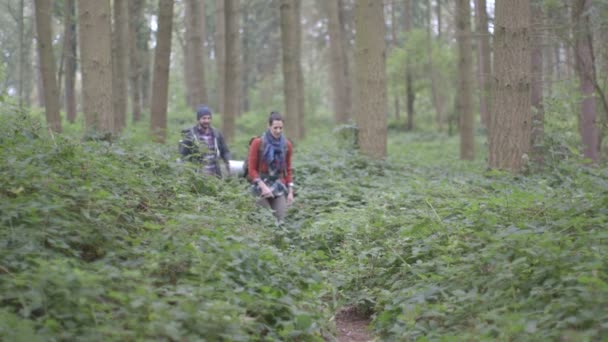 Pareja caminando en el bosque — Vídeos de Stock