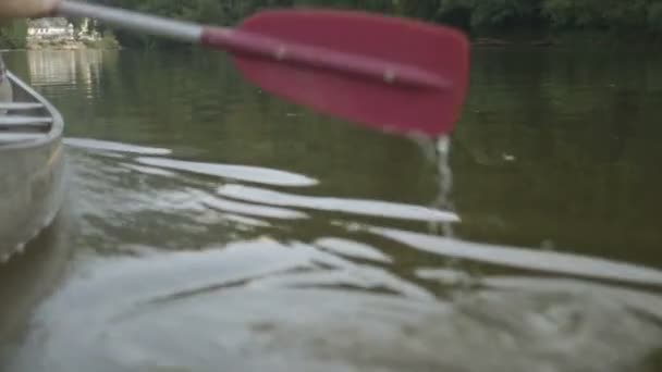 Couple rowing boat — Stock Video