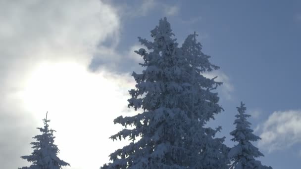 Utsikt över himmel och snö — Stockvideo