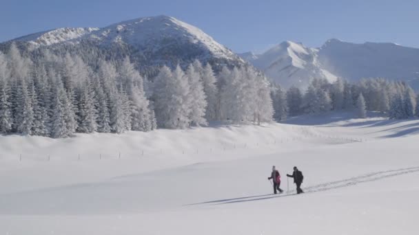 年长的夫妇，在雪中 — 图库视频影像