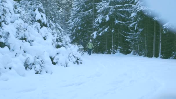 Casal caminhando pela neve — Vídeo de Stock