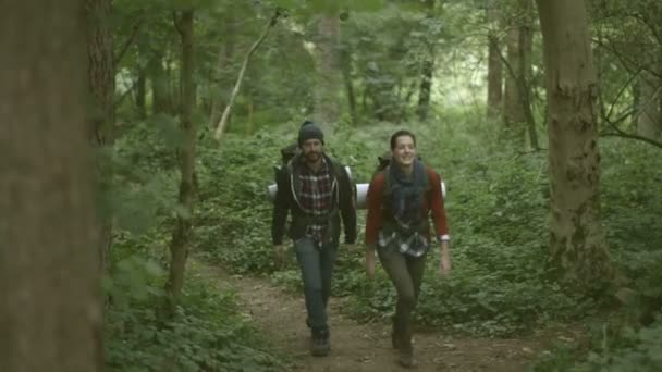 Couple marchant en forêt — Video