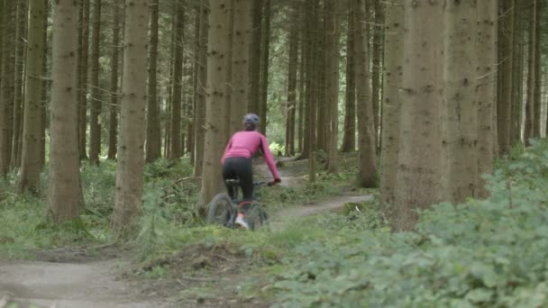 Couple cycling in forest — Stock Video