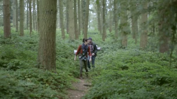 Casal caminhando na floresta — Vídeo de Stock