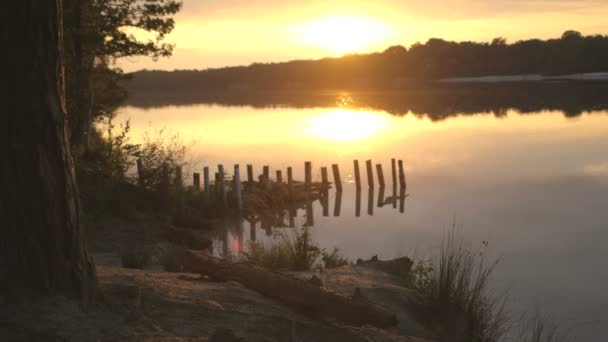 Paar zittend op de rivieroever — Stockvideo