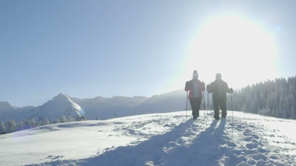 年长的夫妇，在雪中 — 图库视频影像