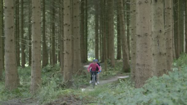 Par cykla genom skogen spår — Stockvideo