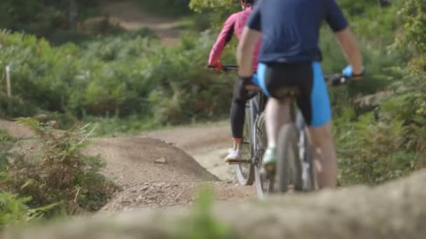 Par cykling på skog spår — Stockvideo