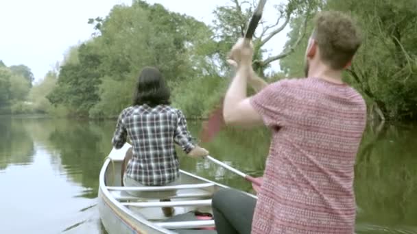 Пара гребных лодок — стоковое видео