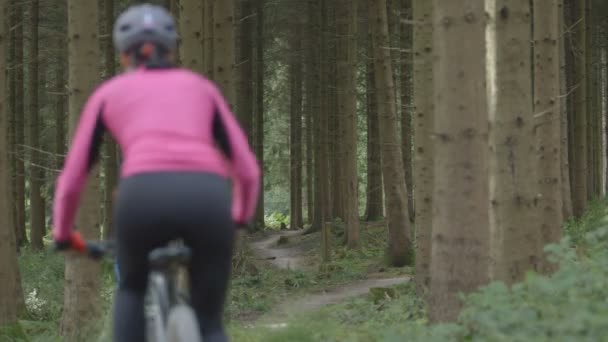 Пара велосипедных прогулок в лесу — стоковое видео