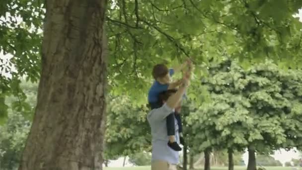 Parkta oynarken oğluyla baba — Stok video