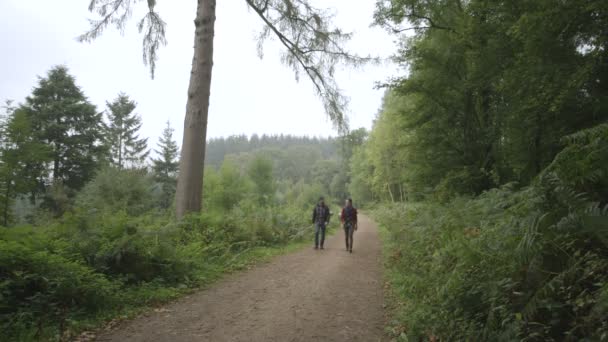 Paar zu Fuß auf Wanderweg — Stockvideo