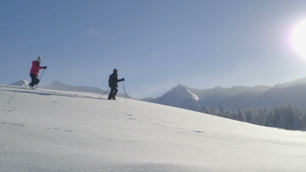 Pareja mayor en la nieve — Vídeos de Stock