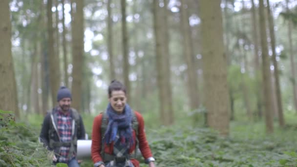 Пара прогулок в лесу — стоковое видео