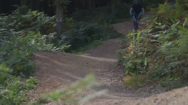 Homme à vélo à travers la piste forestière — Video