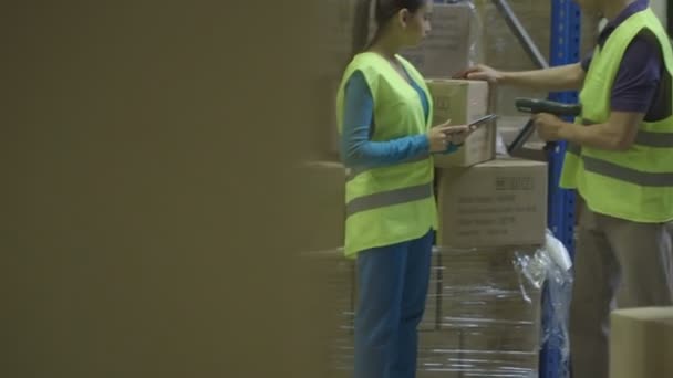 Inżynierów za pomocą cyfrowego tabletu — Wideo stockowe